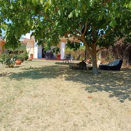 George House Paliouri